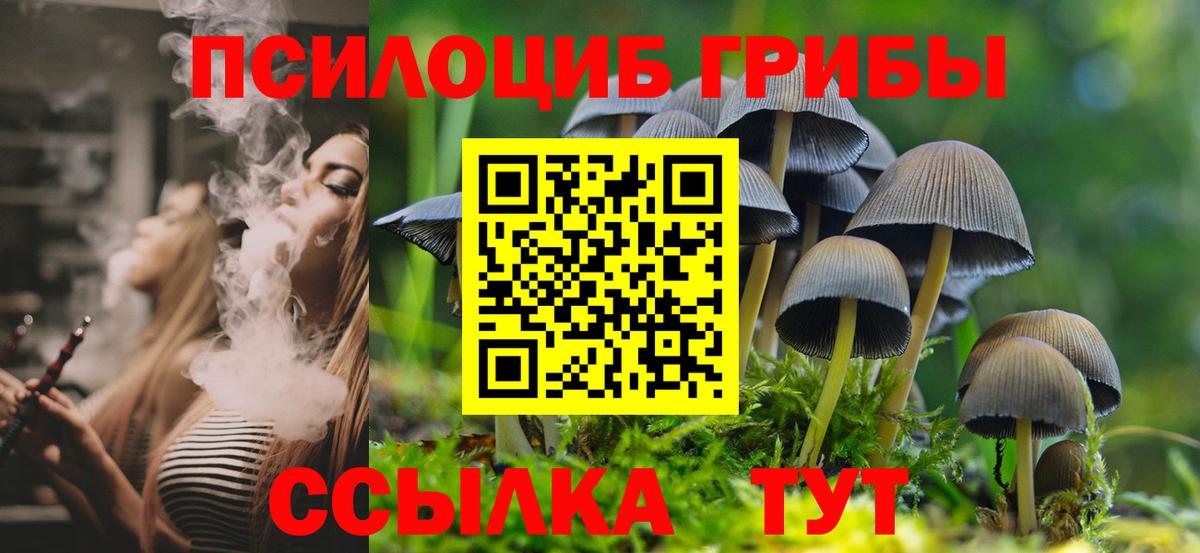 Галлюциногенные грибы Psilocybine cubensis Когалым